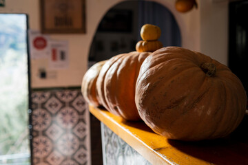 Calabazas de gran tamaño sobre barra de un bar de carretera
