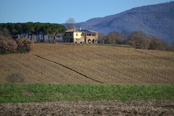farmland on a sunny winter day