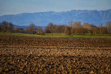 field of wheat on winter against a background of  mountains in Tuscany land, Italy