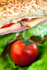 Delicious Sandwich with Cheese Tomato and Salami