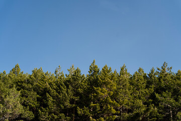 Fototapeta premium Paisaje de montañas con nieve y cielo azul en la sierra de andalucia