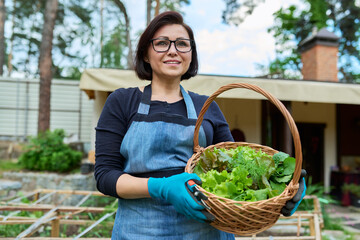 Portrait of mature female gardener, farmer in an apron with basket harvesting greens