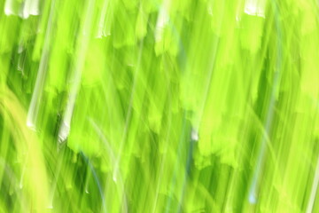 jeux de lumières verte et jaune