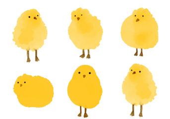  Vector illustrations of watercolor Little yellow chickens. Hand-drawn color image of chickens in watercolor style on a white background. Baby shower, Easter card design.