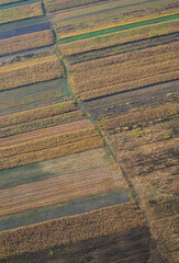 Agriculture fields in spring, aerial view in a sunny day. Agriculture and farming industry.