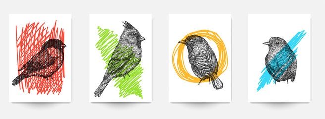 Set background template of card, cover, poster, banner, flyer with hand drawn birds and color doodle shapes. Collection minimalistic modern art composition. Creative vector illustration. © cgterminal