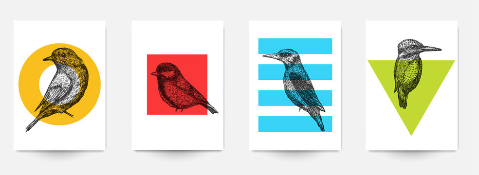 Set background template of card, cover, poster, banner, flyer with hand drawn birds and color geometric shapes. Collection minimalistic modern art composition. Creative vector illustration.