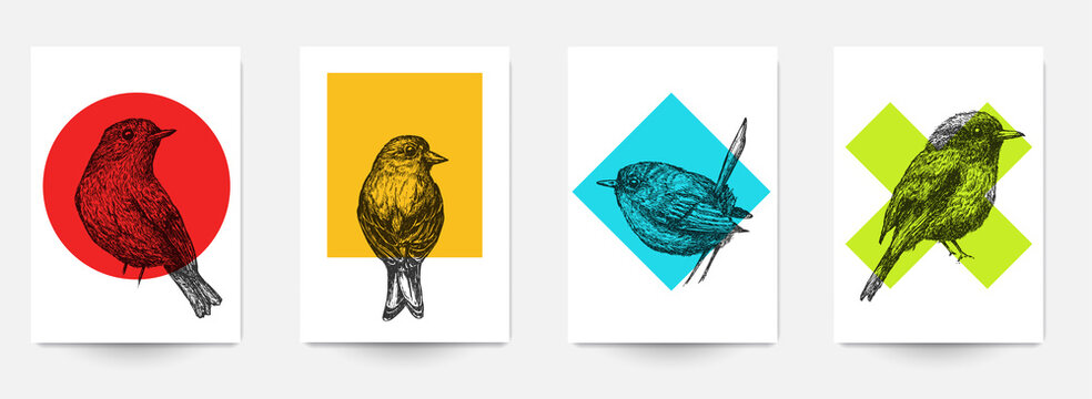 Set background template of card, cover, poster, banner, flyer with hand drawn birds and color geometric shapes. Collection minimalistic modern art composition. Creative vector illustration.