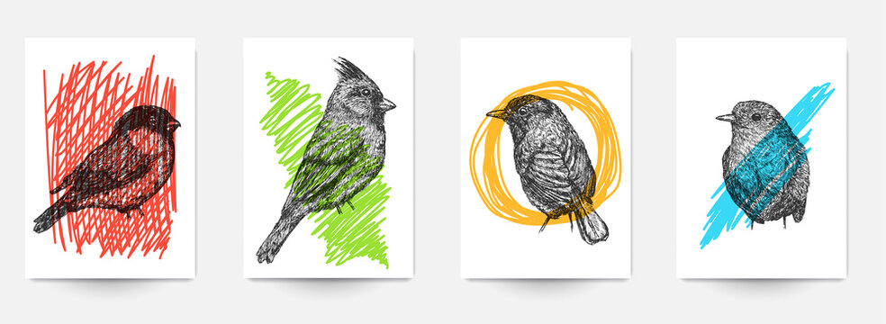Set background template of card, cover, poster, banner, flyer with hand drawn birds and color doodle shapes. Collection minimalistic modern art composition. Creative vector illustration.