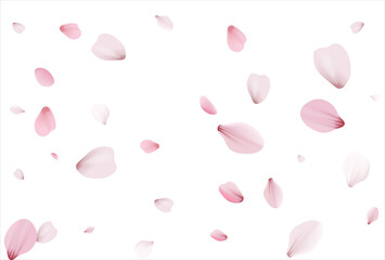 Sakura background, cherry vector background