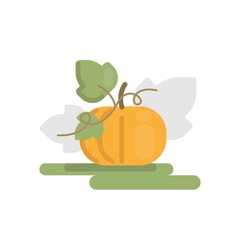 Vector flat cute and simple illustration with big ripe pumpkin.