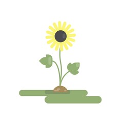 Vector flat illustration with one yellow sunflower and big green leafs. 