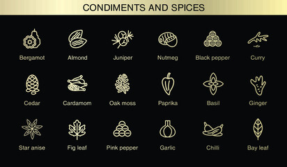 Vector icons of condiments and spices. Trend  examples of scents. Healthy supplements for food, dishes, cosmetics, masks, creams.  - obrazy, fototapety, plakaty