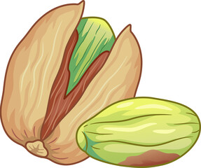 Pistachio Nuts Illustration