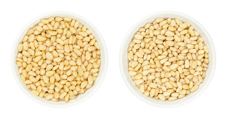 Cedar and pine nuts, in white bowls. Siberian pine nuts (left bowl), Pinus sibirica, and Chinese white pine nuts (right bowl), Pinus armandii. Raw edible seeds, also known as pinon, pignoli or pinoli.