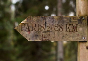 Wooden old sign to Paris on the background of the forest