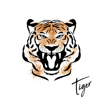 Chinese New Year 2022 Concept. Vector Hand Drawn Tiger Face. Noble Tiger Head Isolated in Flat or Cartoon Style for Print, Logo Design. Happy New Year and Symbol of the Year of Tiger