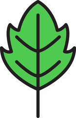leaf icon