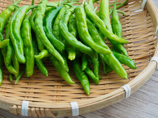 신선한 유기농 채소 녹색 꽈리고추