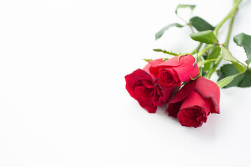 Fototapeta premium 薔薇イメージ03