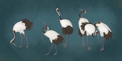 White cranes with blue background. Abstract watercolor paint background grunge texture. Interior Wallpaper. Mural for the walls, fresco for the room, interior grunge style