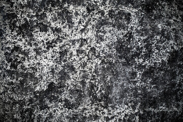 Fototapeta na wymiar Abstract white grunge cement texture background. Grey dirty Concrete background