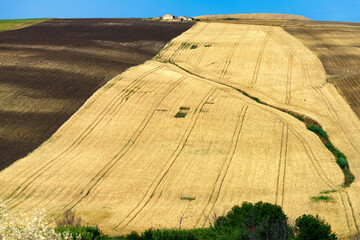 Landscape along the road from Termoli to Serracapriola, Southern Italy