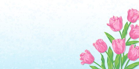 ピンクのチューリップの花と青空の背景　ベクターイラスト素材