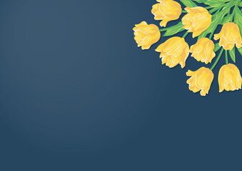 Fototapeta na wymiar 黄色いチューリップの花とカラーの背景　ベクターイラスト素材