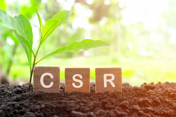 CSR or Corporate Social Responsibility in wooden blocks cubes with growing plant. Green,...