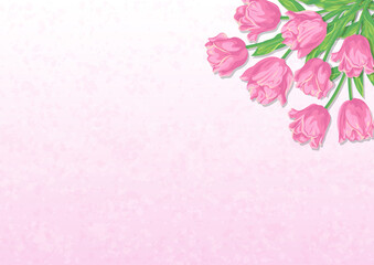 Fototapeta na wymiar ピンクのチューリップの花と淡いカラーの背景　ベクターイラスト素材