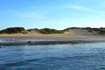 beach and dunes seen from the sea between Wissant and Tardinghen at the sunrise, Opal Coast, Pas-de-Calais, Hauts-de-France, France