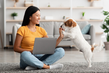 Asian woman watching tutorial for dogs training, using laptop