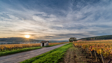 Climats de Bourgogne Les Lavières (à droite) et Aux Grands Liars (à gauche) ,...