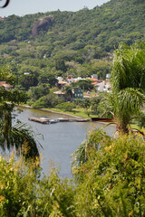 Fototapeta na wymiar paisaje tropical en brasil