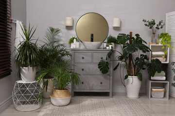 Fototapeta na wymiar Stylish bathroom interior with modern furniture and beautiful green houseplants