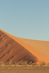 Fototapeta na wymiar Sossusvlei Landscape, Namibia