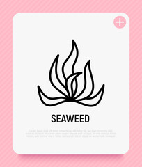 Seaweed, spirulina, algae thin line icon. Mineral nutrition, organic food. Vector illustration.
