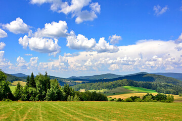 Fototapeta na wymiar Beautiful summer landscape in the mountains with green meadows and forested hills, Low Beskids (Beskid Niski), Poland 