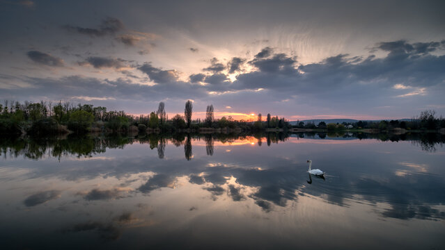 Tillot Images Browse 16 Stock Photos, Vectors, and Video Adobe Stock