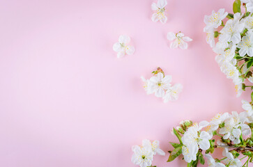 Obraz na płótnie Canvas spring flowers cherry on pastel pink background.
