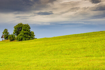 Beautiful minimalist landscape with green meadows, trees and dramatic storm clouds