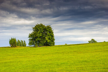 Beautiful minimalist landscape with green meadows, trees and dramatic storm clouds