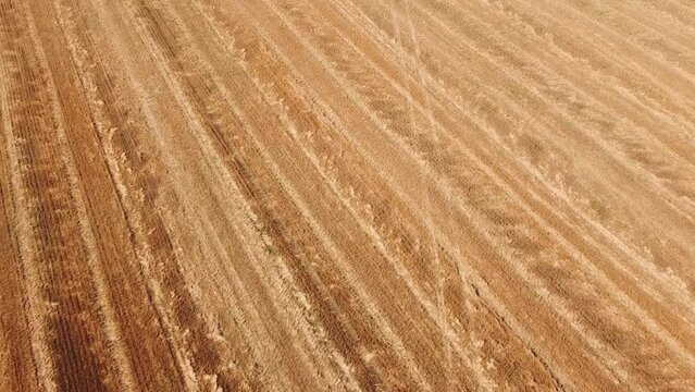 Aerial drone view of a flying over the rural agricultural