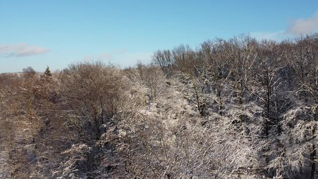 Aerial view of a drone flying over the winter forest.