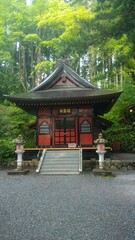 japanese temple in the park