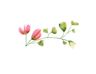 Fototapeta premium Watercolor rose composition. Botanical illustration of tea-rose, red, yellow and pink garden flower bud with branch for invitation, postcards