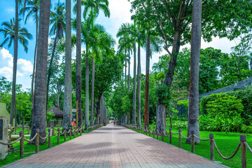 Obraz premium SN_DSC0087-2-standard.jpeg