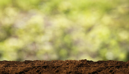 Green, blurred background with ground for planting and copy space. Ground for plants with green blurred