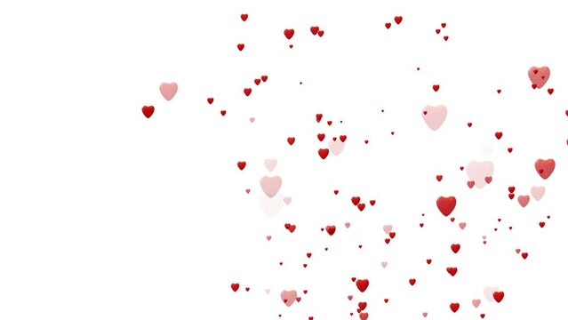Loop video. Abstract red hearts on white background. Concept: valentine's day, anniversary, mother's day, marriage, invitation e-card, 14th-day February. Seamless loop 4k video. 
